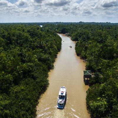 Aerial View of Rainforest in Brazil