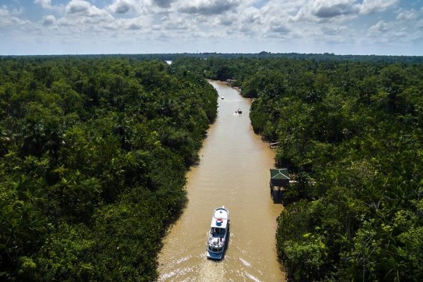 Aerial View of Rainforest in Brazil