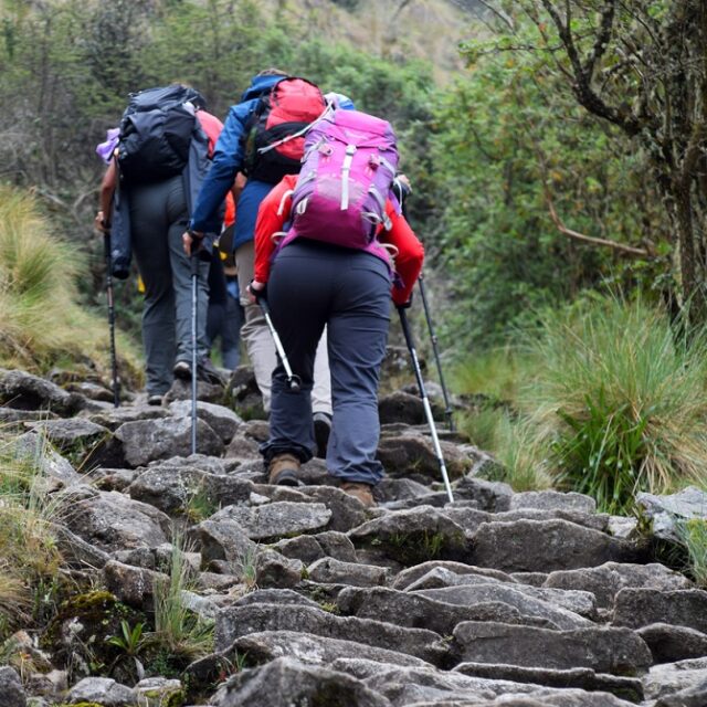 Tourists with backpacks and trekking poles going up the steep steps in the mountains. Steps part of the historical Inca trail which leads to Machu Picchu. Photo taken on the Inca trail, Peru on November 3, 2018.