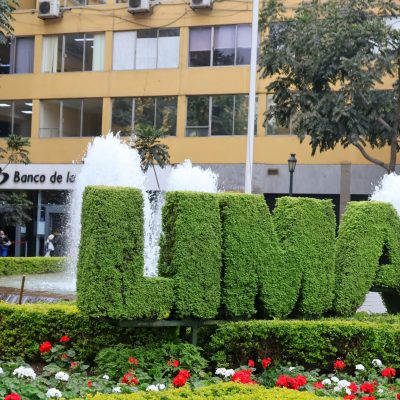 meg-von-haartman-elhz53FhH7M-unsplash