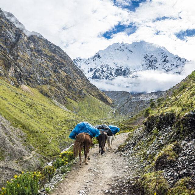 Salkantay Trekking Peru the road to Machu Pichu