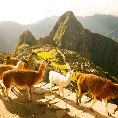 Machu Picchu