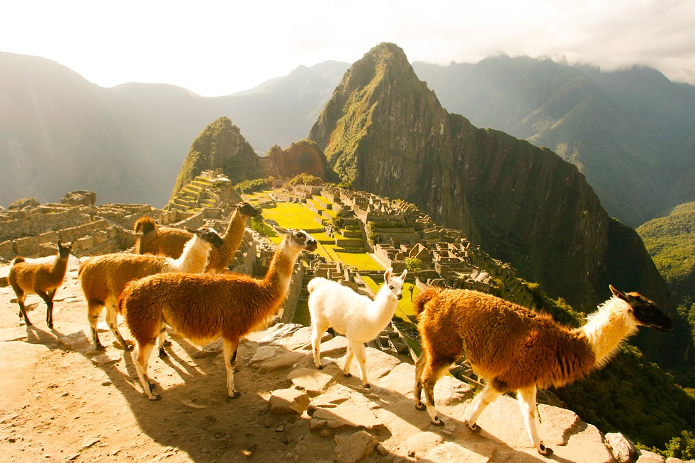 Machu Picchu