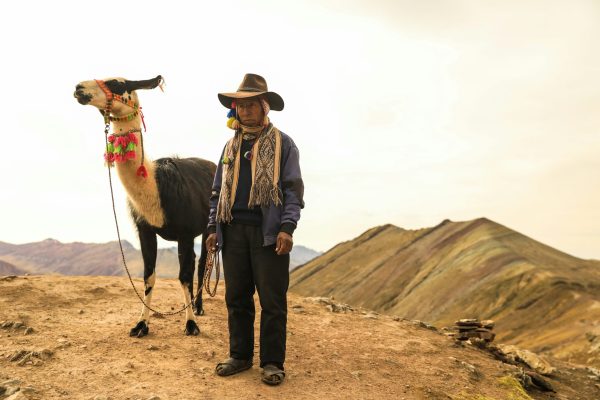 dylan-shaw--V0Fek-ywOc-unsplash