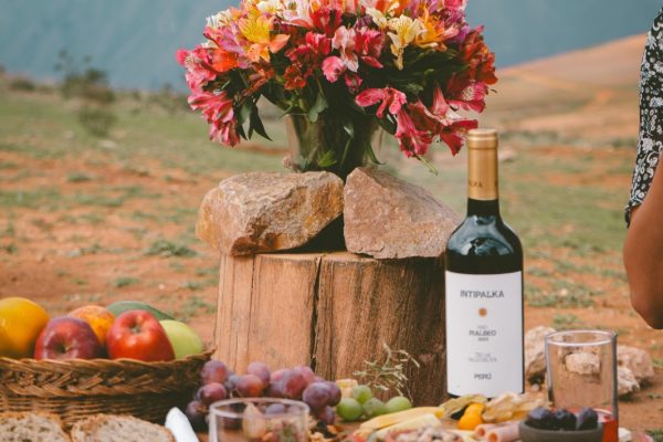 WhatsApp Image 2026-01-29 at 15.16.39