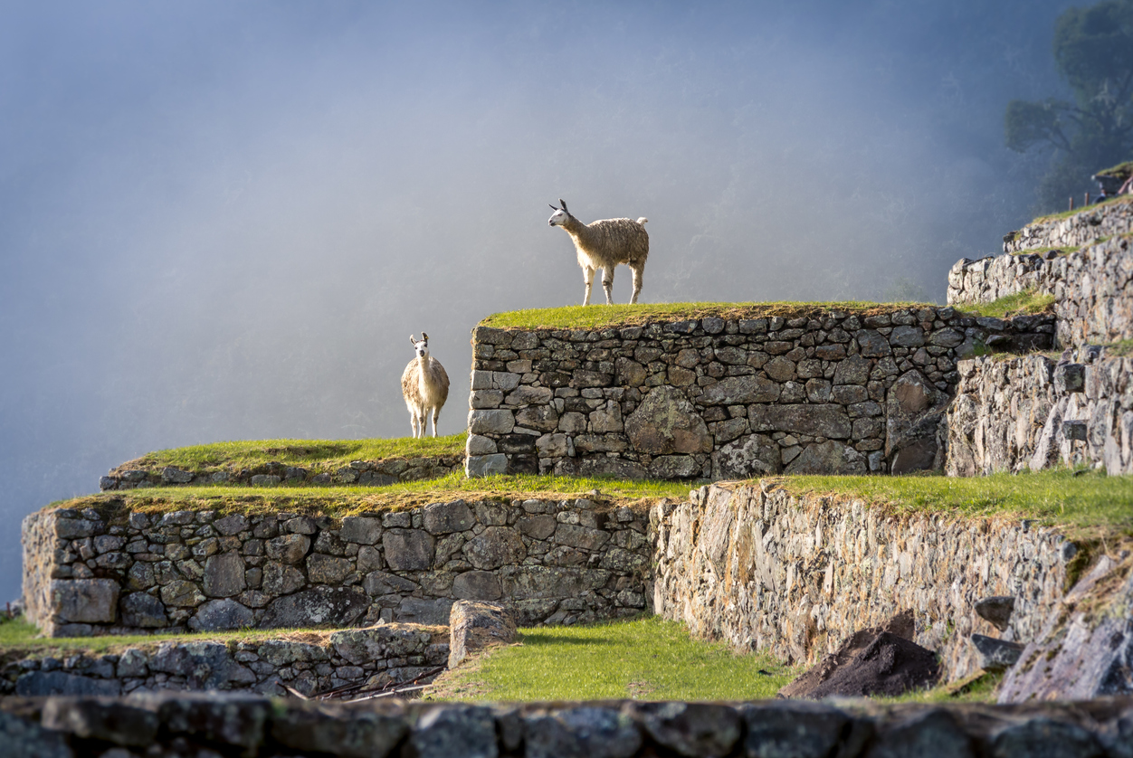 Machu Picchu Tickets: How to Book Them and What Sells Out First